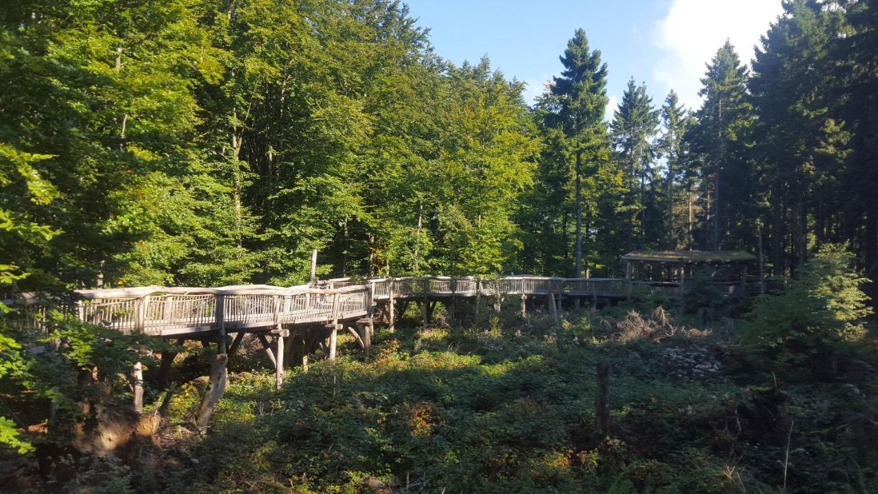 Ferienwohnung In de Ühl Hürtgenwald Exterior foto